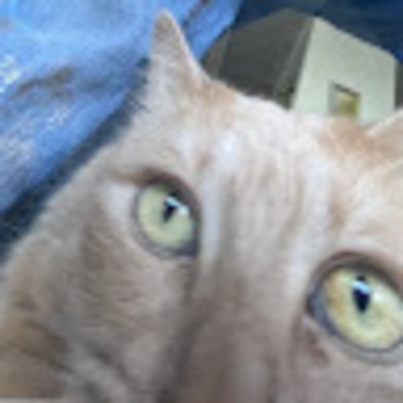 jack1234606